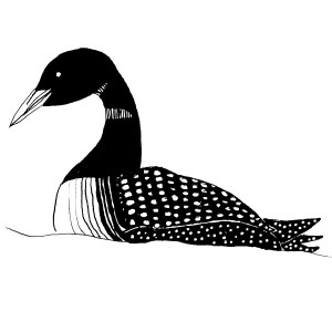 Hand drawn loon